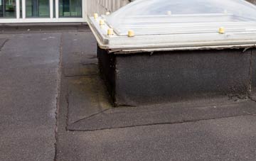 disadvantages of Duddlestone flat roofs