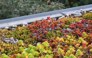 the cost of Duddlestone green roof installation