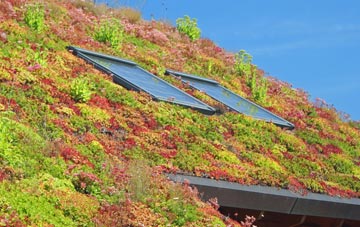 Duddlestone living roof systems