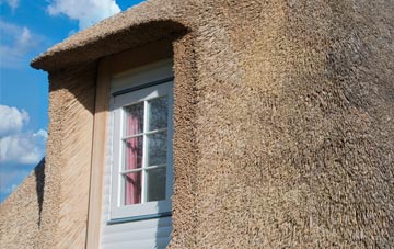 Duddlestone thatch roof disadvantages